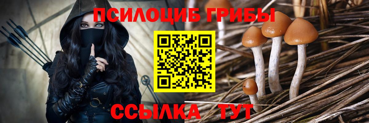 Галлюциногенные грибы GOLDEN TEACHER  Вход с VPN  Магадан 